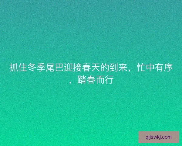 抓住冬季尾巴迎接春天的到来，忙中有序，踏春而行